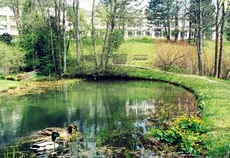 HHS přes l&eacute;to