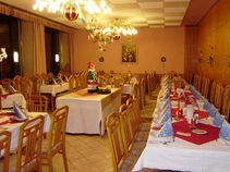 J&iacute;delna