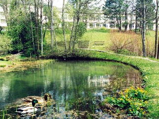 HHS Areál