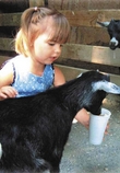 minizoo